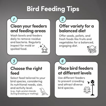 Mycelium Dove Plus Wild Bird Food (5 LB Bag) | Premium Bird Seed Mix for Doves, Pigeons & Ground-Feeding Birds | Supports Healthy Digestion | Organic, Non-GMO & Made in USA