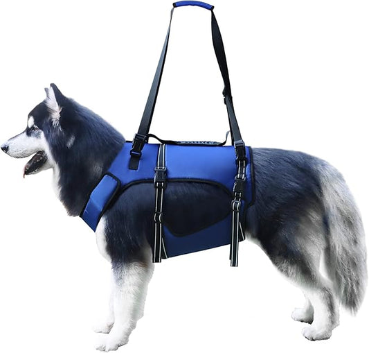 Dog Lift Harness, Full Body Support & Recovery Sling, Pet Rehabilitation Lifts Vest Adjustable Breathable Straps for Old, Disabled, Joint Injuries, Arthritis, Paralysis Dogs Walk (Blue, XXL)