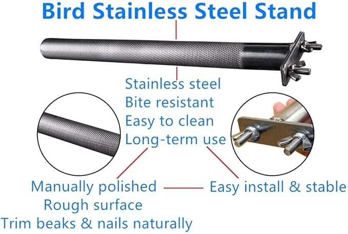 Bird Perch Stainless Steel Stand Parrot Rod Grinding Claws Trimming Beak Nails Grinding Stick Exercise Platform for Parakeet Cockatiel Conure African Grey Macaw Finch Bird Cage Accessories (S)