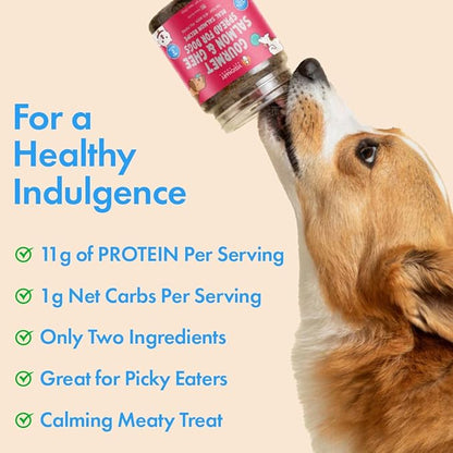 Visionary Pet Foods Salmon Meat Spread - Healthy Dog Treat - Alternative to Dog Peanut Butter, Xylitol Free, No Sugar and Filler Free - Use on Dog Lick Mat, Food Mixer, Pill Pockets - 10oz