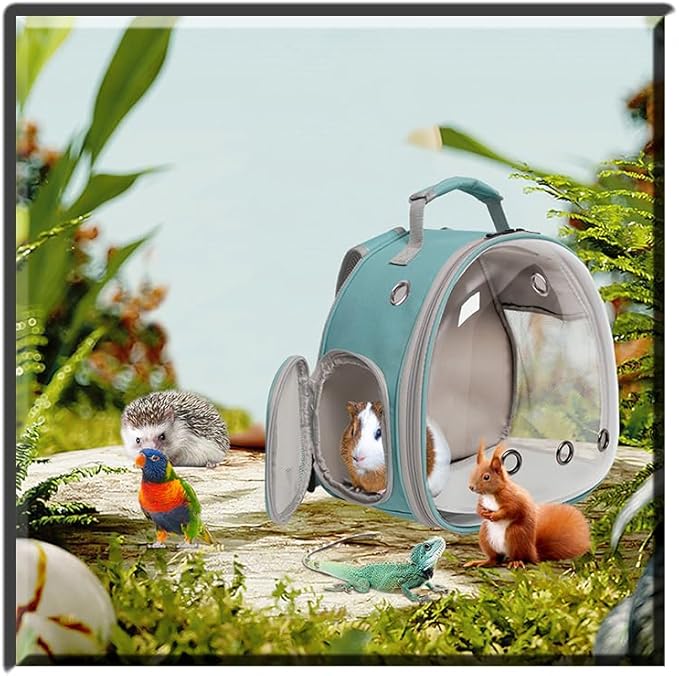 Guinea Pig Backpack Carrier, Bearded Dragon Carrier Backpack with Clear Bubble Window,Small Animal Travel Backpack for Hedgehog Ratï¼_hameleon,Rabbit,Sugar Glider,Airline Approved (Green, Backpack)