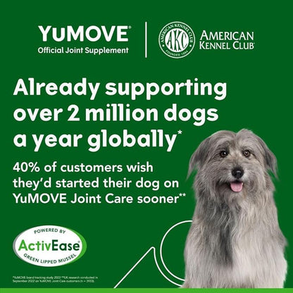 Hip and Joint Supplement - 240 Tablets for Dogs with Glucosamine, Chondroitin, MSM, Omega 3, Hyaluronic Acid, Green Lipped Mussel, & Fish Oil for Dogs - Joint Support Supplement - Senior Dogs