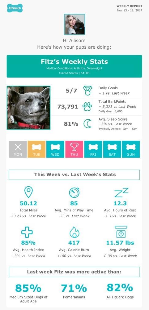 2 Dog Activity Monitor | Health & Fitness Tracker for Dogs | Waterproof, Small & Leightweight (10 g) | Not a GPS Tracker