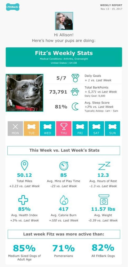 2 Dog Activity Monitor | Health & Fitness Tracker for Dogs | Waterproof, Small & Leightweight (10 g) | Not a GPS Tracker