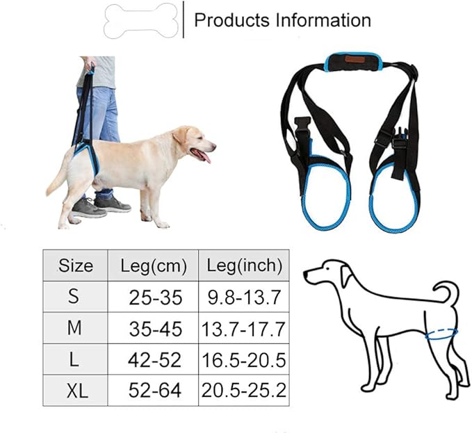 Adjustable Pet Dogs Lift Support Harness Breathable Mesh Padded Sling Straps Canine Support Rehabilitation for Injuries Arthritis Weak hind Legs & Joints, Blue (S)