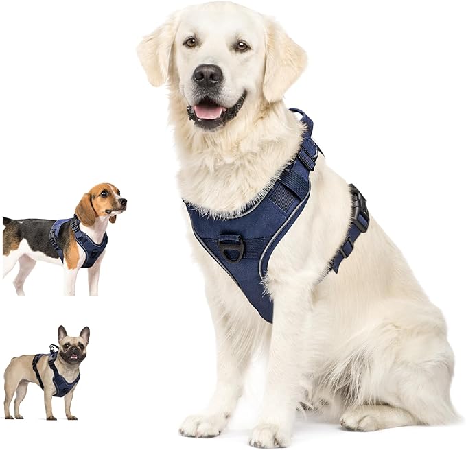 Dog Harness, No Pull Pet Harness No-Choke with 2 Metal Rings 3 Buckles Reflective Adjustable Soft Padded Pet Vest with Easy Control Handle for Small Medium Large Dogs (Small, Blue)