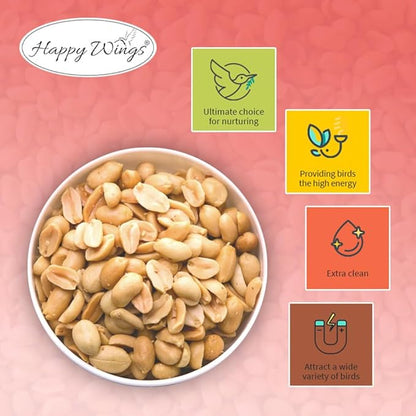 Shelled Peanuts Seeds Wild Bird Food - 5 Pounds I No Grow Seed I Bird Seed for Wild Birds