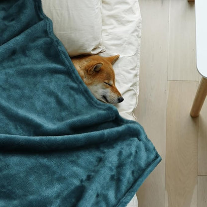 Onarway Dog Blanket Washable for Puppy: 4 Packs Dog Blankets 40_28 - Fluffy Soft Small Throw for Cat Puppy Kitten Dogs - Fleece Pet Blankets for Bed Sofa Car and Indoor - Lake Green and Purple