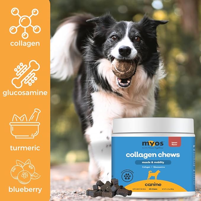 MYOS Canine Muscle & Mobility Chews  Collagen & Glucosamine for Dogs - Bacon Flavor Joint Supplement for Muscle, Bone & Joint Support, 60 Count