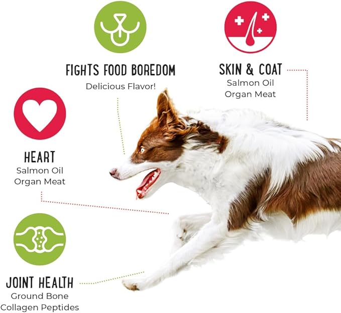 iHeartDogs Dog Food Topper - Freeze-Dried Raw Dog Food Seasoning - Grain Free Superfood Meal Mixer (Chicken, 3 Ounce)