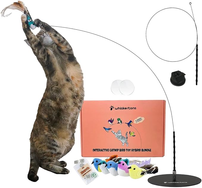Interactive Bird Simulation Cat Toy Set, Interactive Cat Toys for Indoor Cats, Cat Feather Toy, Self-Holding Suction Cup, 5 Catnip Birds, Feathers, Bells (Catnip Hybrid Bundle)