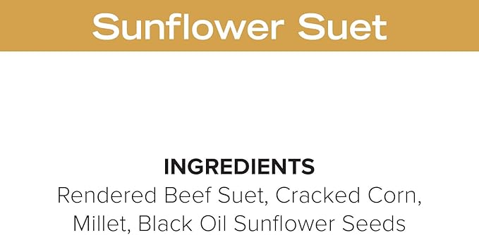 Blue Seal Nut Feast Suet Cakes for Wild Birds | No Mess Suet Feed with Variety of Nuts | Food for Woodpeckers, Cardinals, Siskins & Sparrows | Use with Suet Feeder | 11oz Seed Cake (6 Variety Pack)