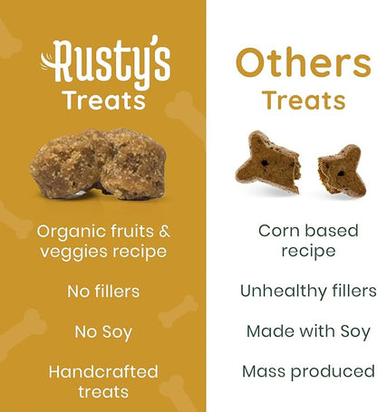 Rusty's Pet Essentials Premium Hip & Joint Dog Supplement (170 Chews) - Advanced Mobility - Formulated with Chondroitin - Calcium - Glucosamine - Turmeric & MSM for Joint Health - Made in The USA