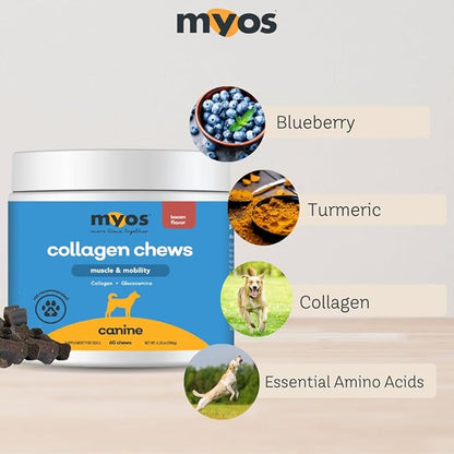 MYOS Canine Muscle & Mobility Chews  Collagen & Glucosamine for Dogs - Bacon Flavor Joint Supplement for Muscle, Bone & Joint Support, 60 Count