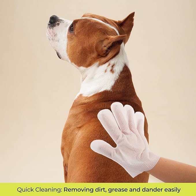 ALL FOR PAWS Cleaning & Deodorizing Bathing Wipes for Dogs and Cats Pet Grooming Wipes for Face, Body and Paws, Moisturizing No-Rinse Disposable Gloves 9 x 5 inchs 6pcs x 2