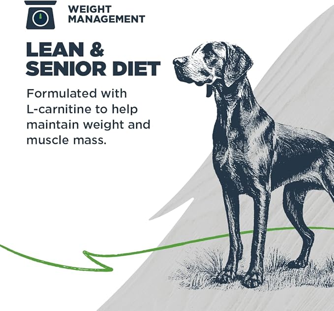 Blackwood Lean/Senior Dry Dog Food, Chicken Meal with Ancient Grains, 24 Pound Bag for Weight Management and Muscle Mass Maintenance