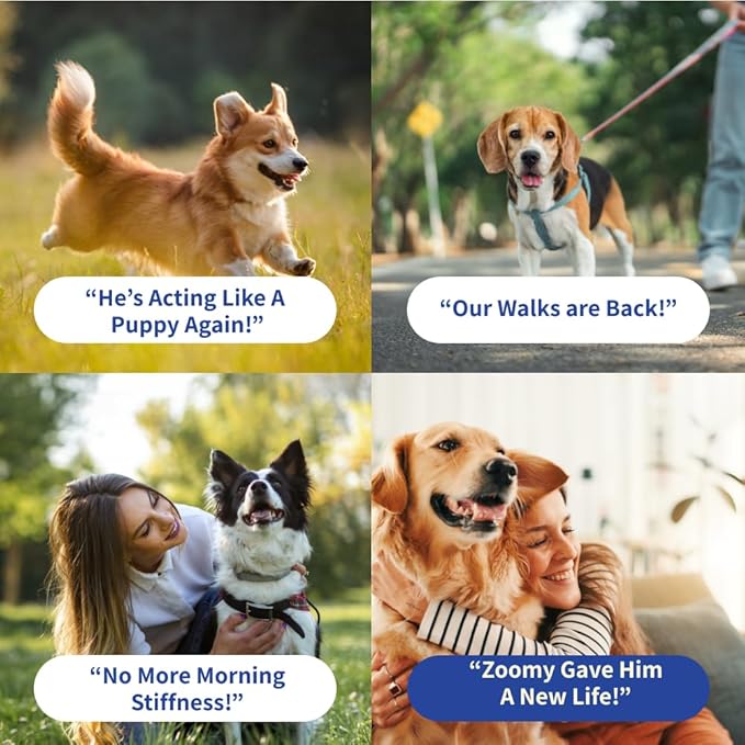 Dog Joint Supplement Powder with Glucosamine, Chondroitin & MSM  Hip & Joint Support for Mobility, Stiffness & Flexibility  Mushroom Blend with Lion_ Mane, Cordyceps & Reishi  Zoomy