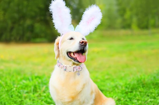 DOGWONG Easter Rabbit Dog Collar, Colorful Egg Dog Collar Soft Durable Adjustable Comfortable Cute Easter Puppy Collar for Small Medium Large Dog
