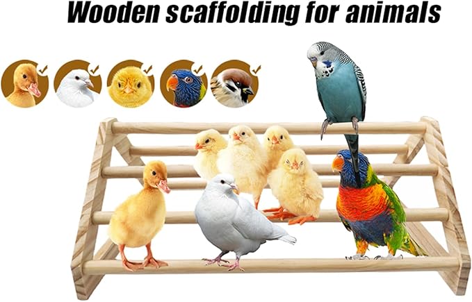 Chick Perch Chicken Coop Toys and Accessories,Chick Roosting Bar,Brooder for Baby Chicks,Strong Wooden Bird Perch. (Style 2, 14.4" x 10.7" x 6.7)