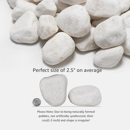 White Natural River Rocks, 2-3.5 Inch Decorative Stones for Plants, Garden, and Landscaping – 40LB, Ideal for Fish Tanks, Vases, Crafting, Home Decor, and Outdoor Landscaping