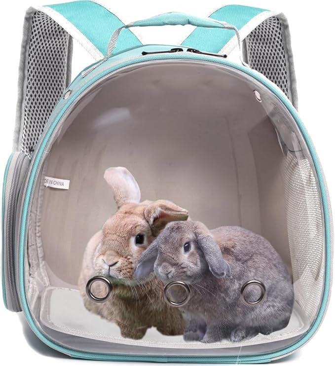 Guinea Pig Backpack Carrier, Bearded Dragon Carrier Backpack with Clear Bubble Window,Small Animal Travel Backpack for Hedgehog Ratï¼_hameleon,Rabbit,Sugar Glider,Airline Approved (Green, Backpack)