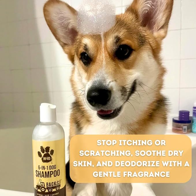 Natural Pet Shampoo - No. 40 Premium 6 in 1 Oatmeal Shampoo for Dogs - Moisturize, Deodorize & Soothe Sensitive Skin - Coconut, Aloe & Almond Oil Dog Wash & Pet Care