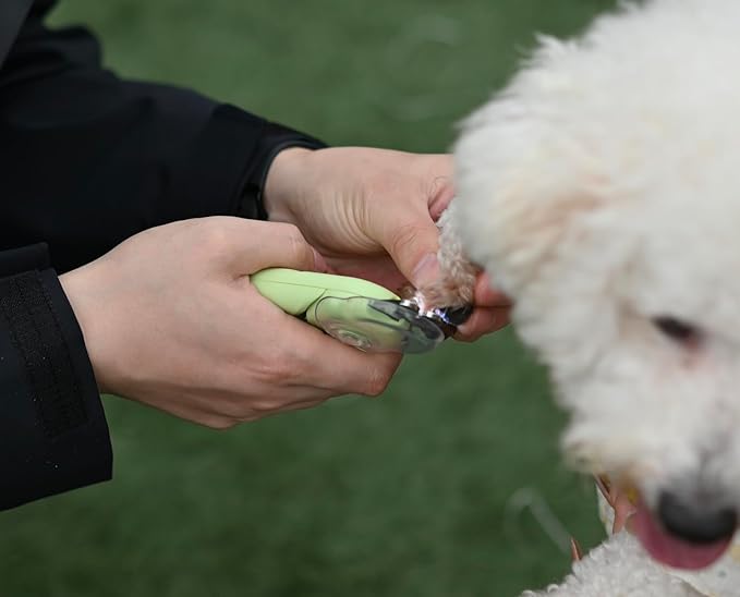 3 in 1 Dog & Cat Pets Nail Clippers and Trimmers-with Safety Guard to Avoid Overcutting. LED Dog Nail Clipper with Light, Illuminates Nails or Bloodline for Safe and Easy Trimmers,for Cats & Dogs