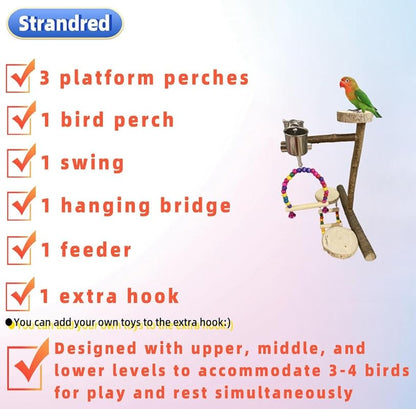 Natural Wood Bird Perch Playground for Outside the Cage Wall, Bird Platform and Play Area for Small to Medium Parrots like Cockatiels, Conures, Parrotlets, Lovebirds, and Budgies, Bird Cage Accessory