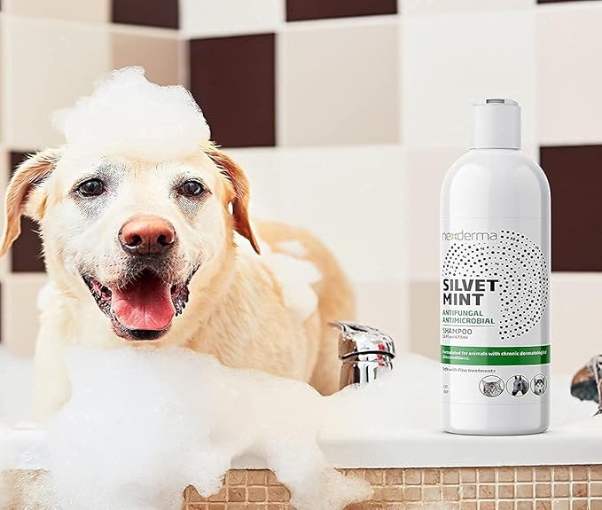 Natural Colloidal Medicated Pet Shampoo for Dogs and Cats - Tearless Hypoallergenic, Soap Free with Coconut Oil and Mint, Relief for Allergies, Odor, Itchy, Dry, Irritated Skin - 16oz, 1Pack