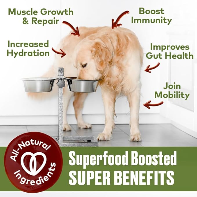 Mobility Support Beef Bone Broth for Dogs | Hip & Joint Support for Dogs | Glucosamine & Amino Acid Boosted | Human Grade Ingredients | Just add Water | Made in USA, 12 oz