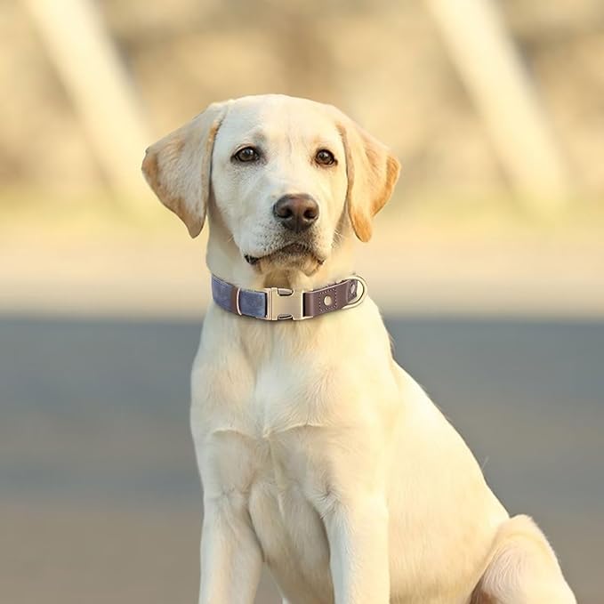 Didog Soft Padded Leather Dog Collar for Large Dogs, Classic Heavy Duty Dog Collars with Quick Release Metal Buckle, Adjustable Large Dog Collar Leather,Blue,L