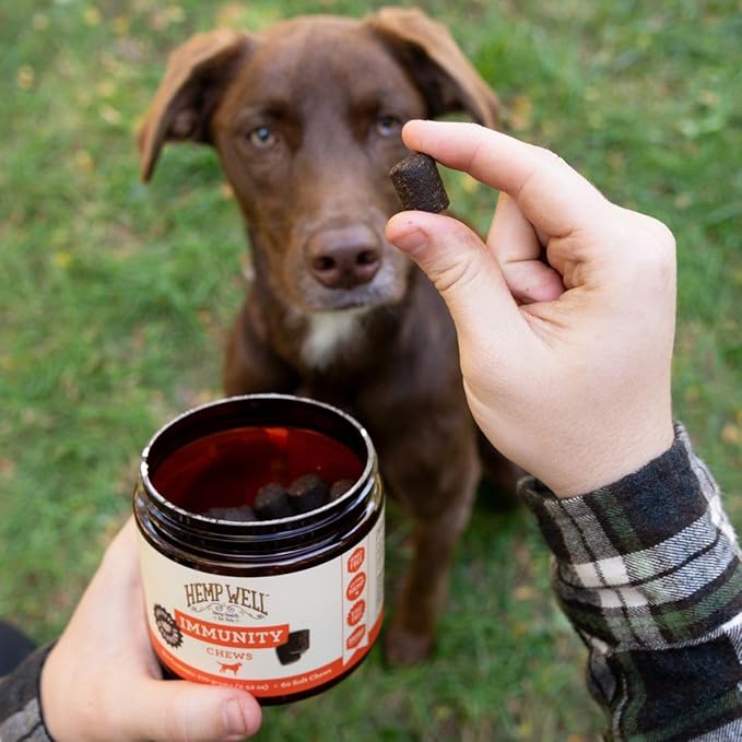 Hemp Well Immune - Allergy Support Dog Soft Chews - Long Lasting Relief for Seasonal Dog Allergies and Itching - Supports Healthy Skin and Immune System - Gut Health - Organic (30)