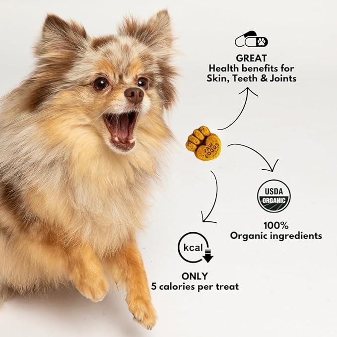 Treats Fruity Paws - Organic Dog Treats Healthy, Low Calorie Puppy Treats for Joint and Hip Support, Tasty Natural Treats for All Dogs, Only 5 Cal, Approx. 60 per Bag - 170g - Made in USA