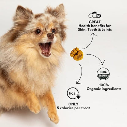 Treats Fruity Paws - Organic Dog Treats Healthy, Low Calorie Puppy Treats for Joint and Hip Support, Tasty Natural Treats for All Dogs, Only 5 Cal, Approx. 60 per Bag - 170g - Made in USA