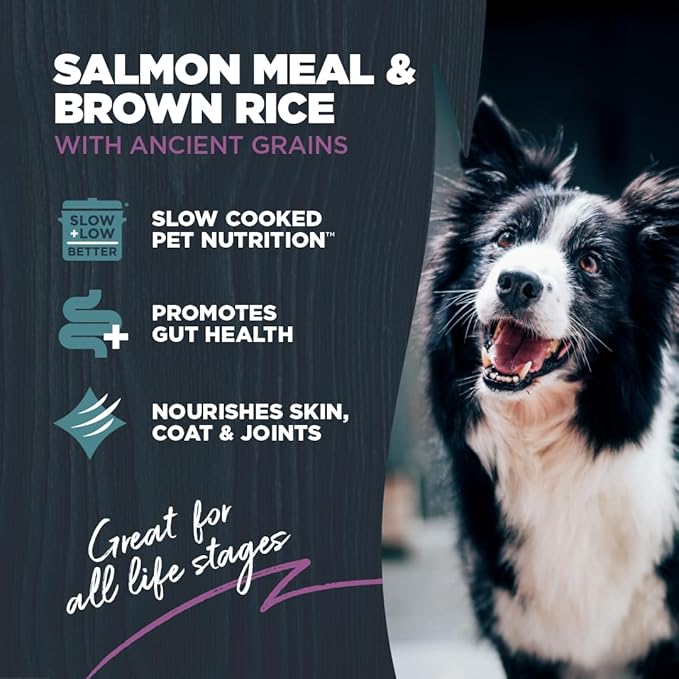 Blackwood Sensitive Skin & Stomach Dry Dog Food, Salmon Meal & Brown Rice with Ancient Grains, 24 Pound Bag with Prebiotics & Probiotics to Promote Gut Health