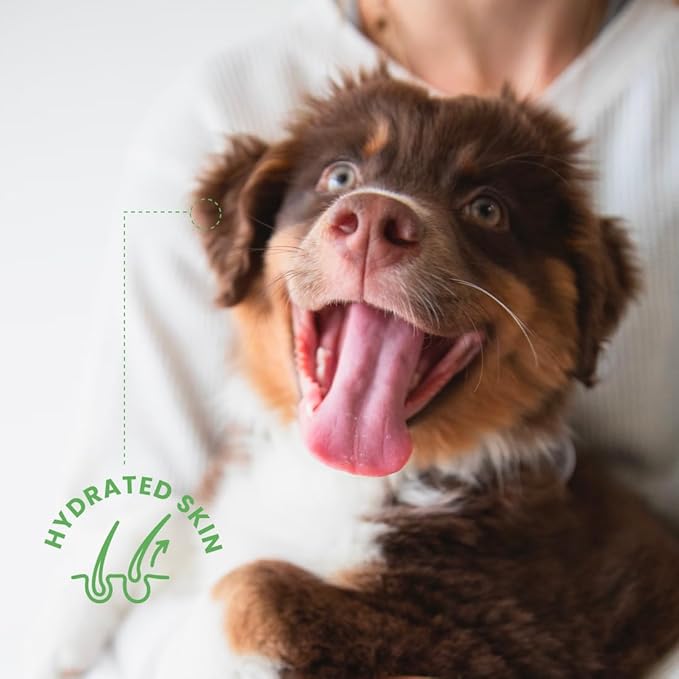 Best Shot Scentament Spa Calming Body Wash, Lavender Aloe, 16 oz