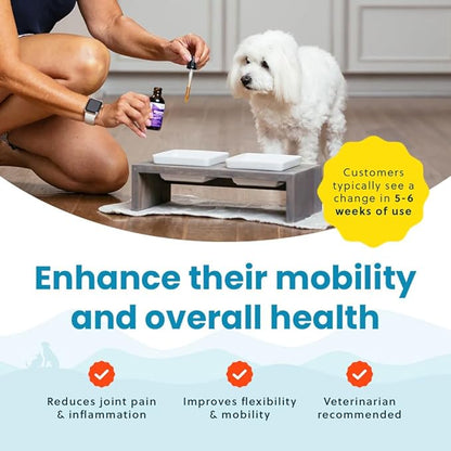 Paramount Pet Health Liquid Glucosamine for Small Dogs, 260mg Glucosamine Liquid for Dogs Joint Supplement for Mobility & Comfort, Easy-to-Use Liquid MSM & Chondroitin, 2 oz