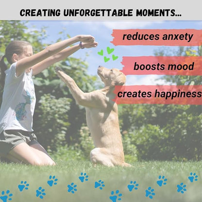 Amazing Dog Treats -Small Collagen Stick - (6 Inch - 8 Count) - Collagen Beef Cheek Rolls - No Hide Bones for Dogs