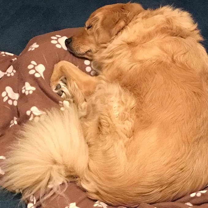 Comsmart Dog Blankets for Small Dogs, 6 Pack Puppy Blanket Cute Paw Print Pet Blanket for Dog, Puppy, Cat, Kitten, 39x35 inches, Brown