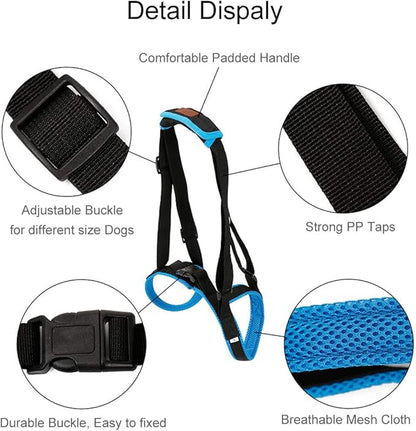 Adjustable Pet Dogs Lift Support Harness Breathable Mesh Padded Sling Straps Canine Support Rehabilitation for Injuries Arthritis Weak hind Legs & Joints, Blue (L)