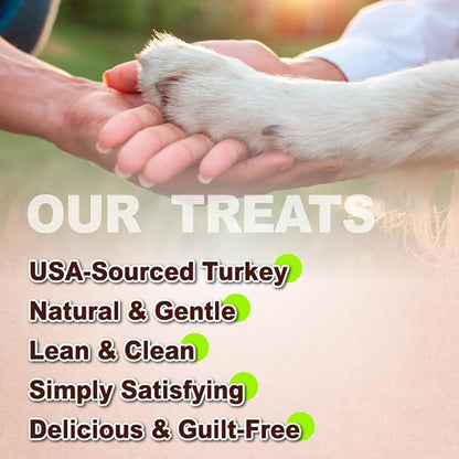 AFreschi Turkey Tendons for Dogs, USA-Sourced, Healthy Dog Treats, Rawhide-Free Puppy Chews, Long Lasting, All Natural, Hypoallergenic Dog Treats, Classic Series, Coil (L), 3 oz Pack