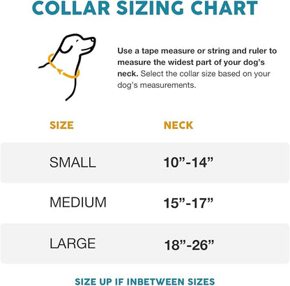 Embark Urban Dog Collar  Dog Collar Stylish & Durable Nylon Dog Collar for Large Dogs, Small Dogs & Medium Dogs.Comfortable Pet Collar Strong Buckles for Any Size Breed (Azure, Large)