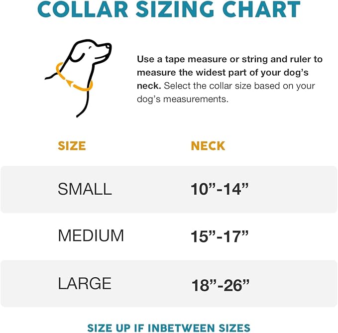 Embark Urban Dog Collar  Dog Collar Stylish & Durable Nylon Dog Collar for Large Dogs, Small Dogs & Medium Dogs.Comfortable Pet Collar Strong Buckles for Any Size Breed (Boho, Large)