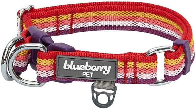 Blueberry Pet 3M Reflective Dog Collars | Adjustable Dog Collar w/Multi-Colored Stripe - Mixed Tone Rainbow Color | Nylon Pet Collars for Dogs & Refflective Dog Collar for X-Large Dogs