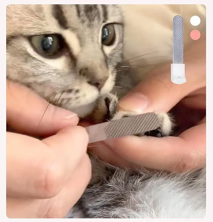 Dogs Nail Clipper Trimmer with LED light Grooming Tools for Pets 1#pink