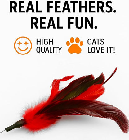 Cat Wand Toy Feather Sticks - 5 Piece Interactive Wands Toy Set with Feathers, Durable Spring Design - Perfect for Engaging Playtime Fun for Kittens and Cats - Cat Toys for Indoor Cats