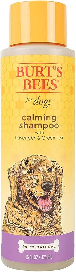 Burt's Bees for Pets Calming Dog Shampoo with Lavender and Green Tea, 6pk, 95% Natural Origin Formulas, Calming Lavender Dog Shampoo - Gentle Dog Shampoo, Best Dog Shampoo, Lavender, 6pk 16 oz