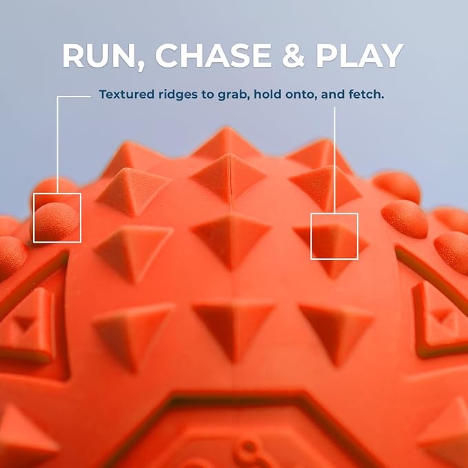 Best Pet Supplies Squeaky Rubber Spiky Ball Dog Toy Durable Non-Toxic Perfect for Aggressive Chewers Spiked for Dental Health Interactive Dog Toy - Pack of 2 - Blue, Orange (M:2.5")