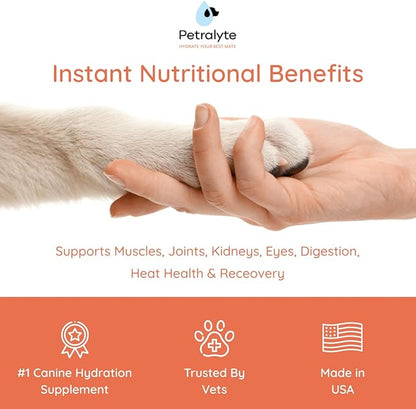 Petralyte Dog Electrolytes and Joint Supplement | Hydration Support for Dogs w/Glucosamine, Chondroitin & More | Electrolytes for Dogs with Prebiotics | for Chicken Lovers | 16 Packets