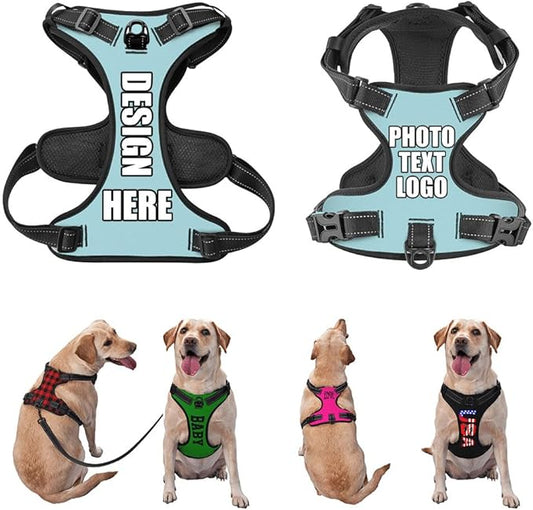Custom Breathable Pet Chest Harness with Optional Leash, Customize No-Pull Dog Harnesses with Your Personalized Design, Personalize Pet Towing Vest with Mesh Fabric, PowderBlue, M